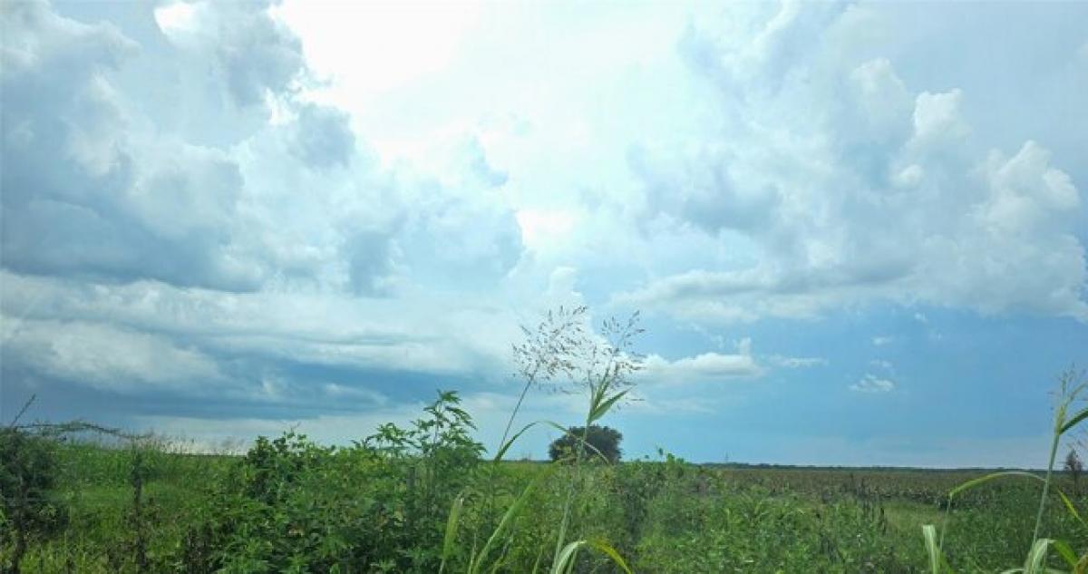 Picture of Residential Land For Sale in Ganado, Texas, United States