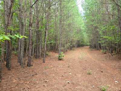 Residential Land For Sale in 