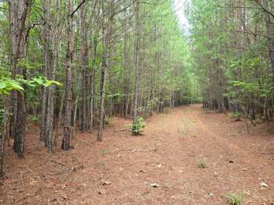 Residential Land For Sale in 