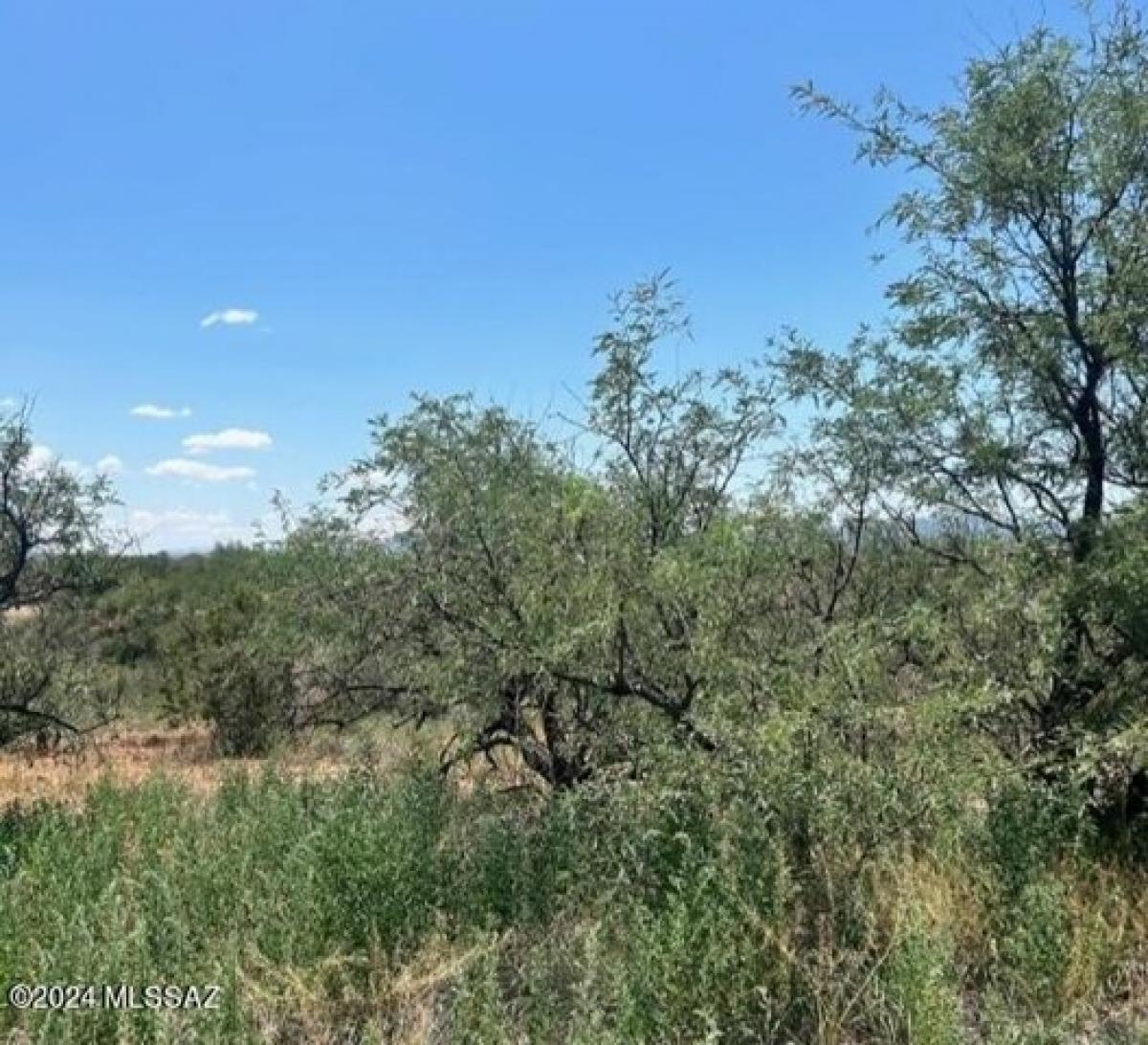 Picture of Residential Land For Sale in Rio Rico, Arizona, United States