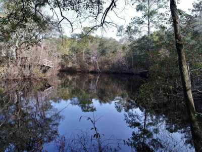 Residential Land For Sale in Sopchoppy, Florida