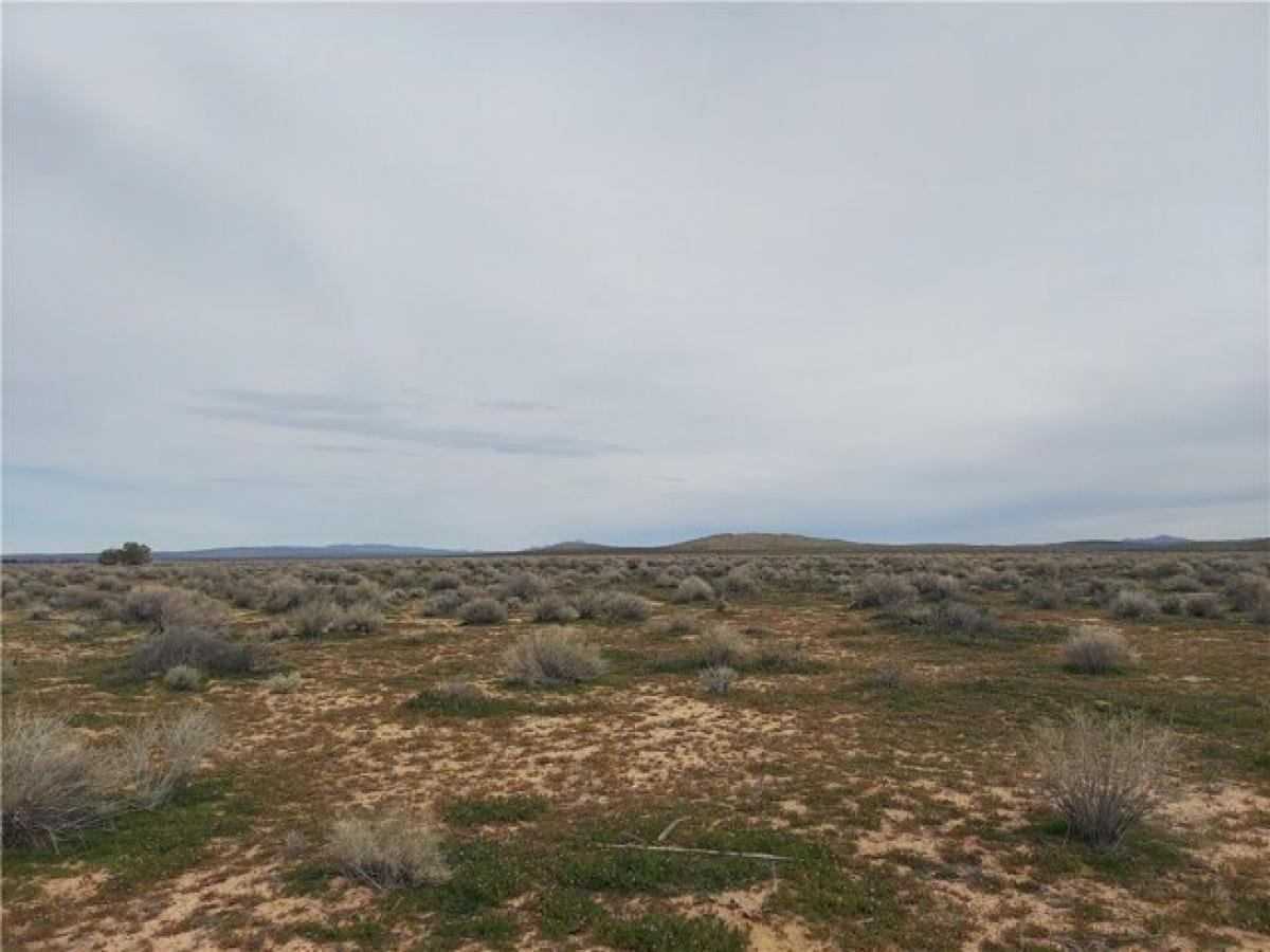 Picture of Residential Land For Sale in Boron, California, United States