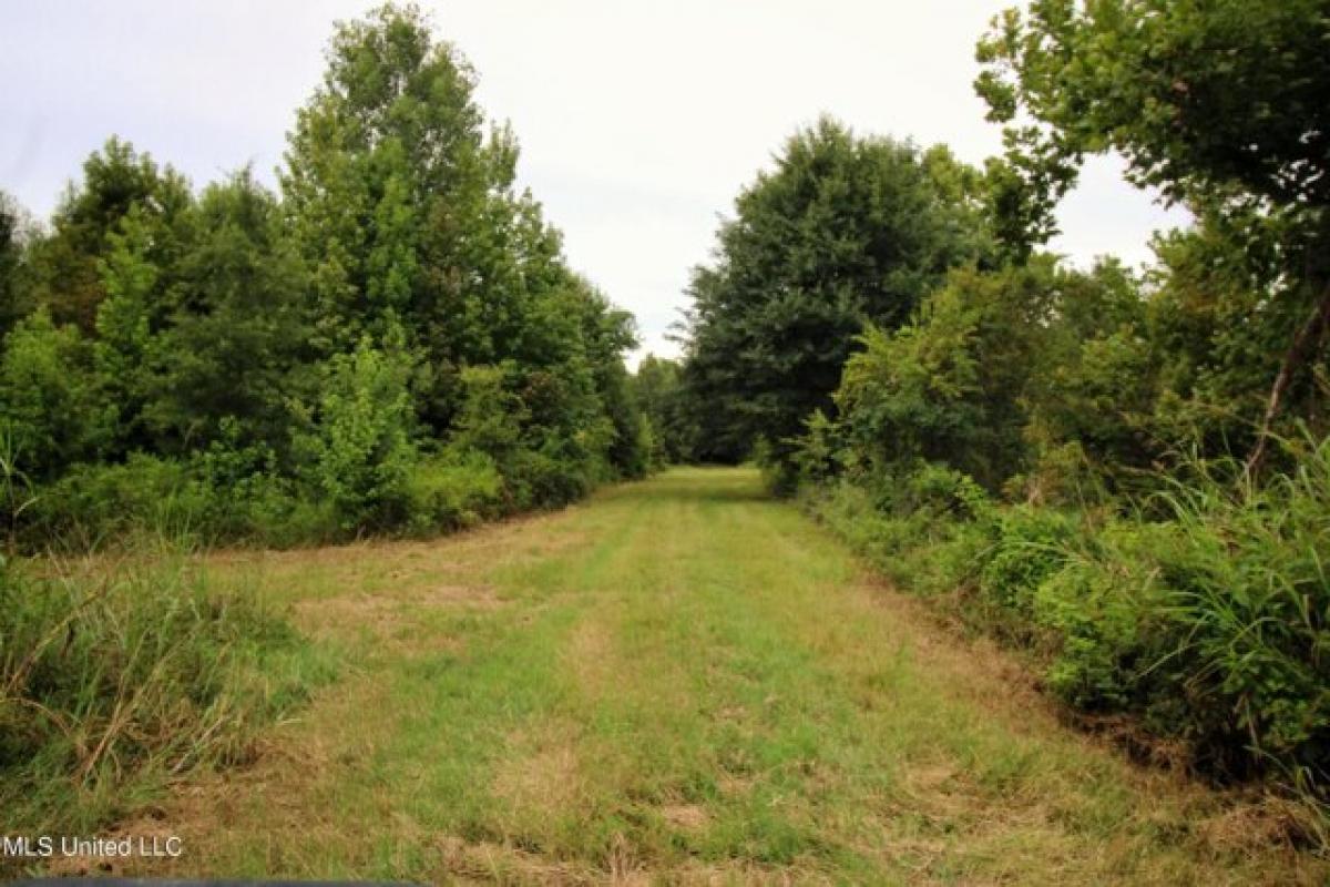 Picture of Residential Land For Sale in Greenwood, Mississippi, United States