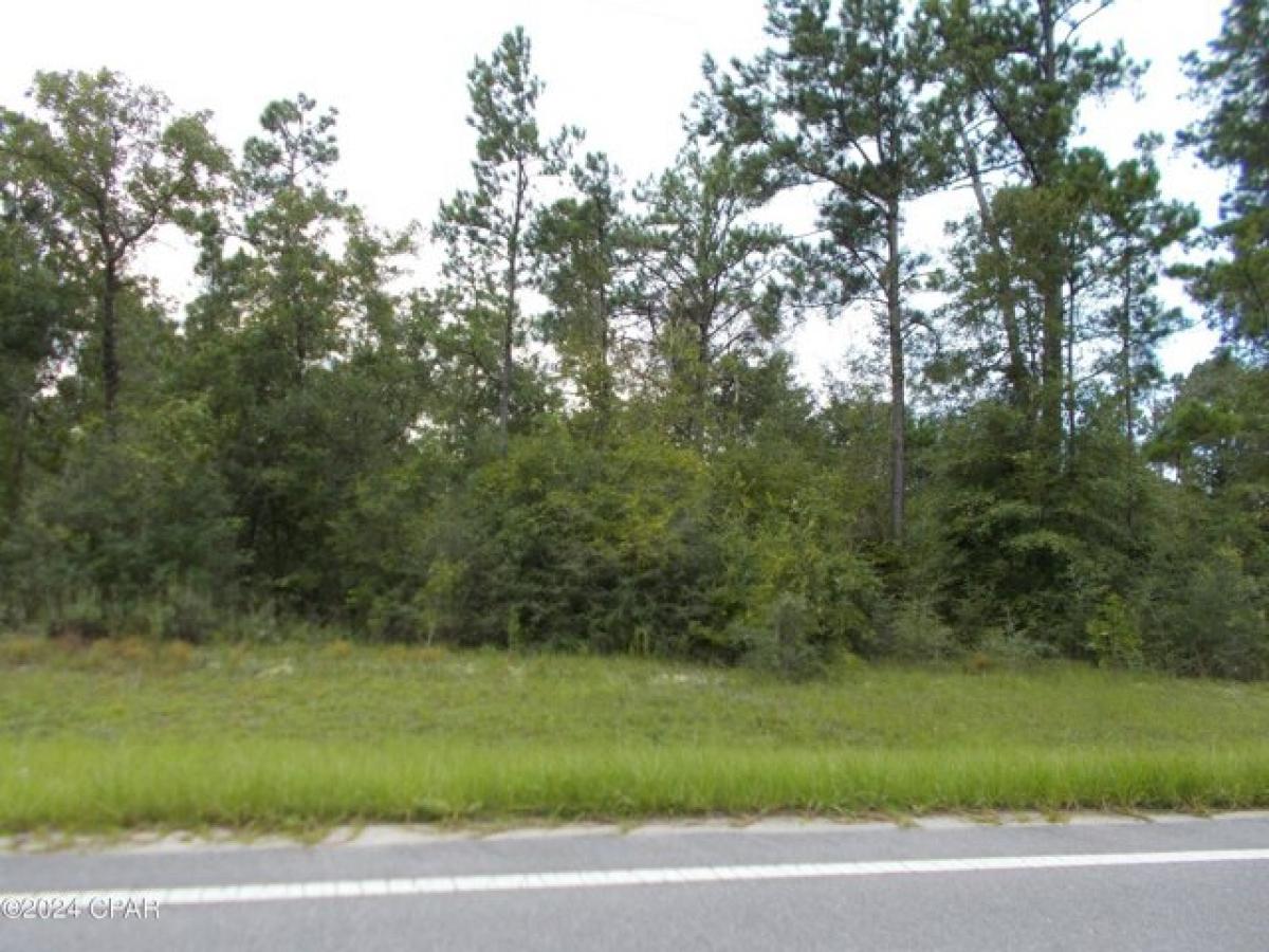 Picture of Residential Land For Sale in Marianna, Florida, United States