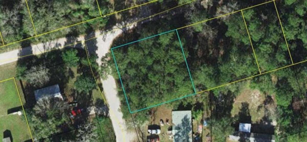 Picture of Residential Land For Sale in Crawfordville, Florida, United States