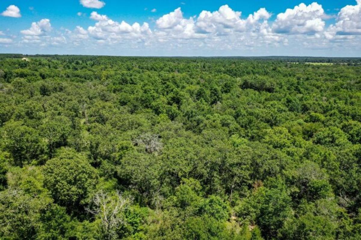 Picture of Residential Land For Sale in Lovelady, Texas, United States