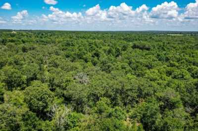 Residential Land For Sale in Lovelady, Texas