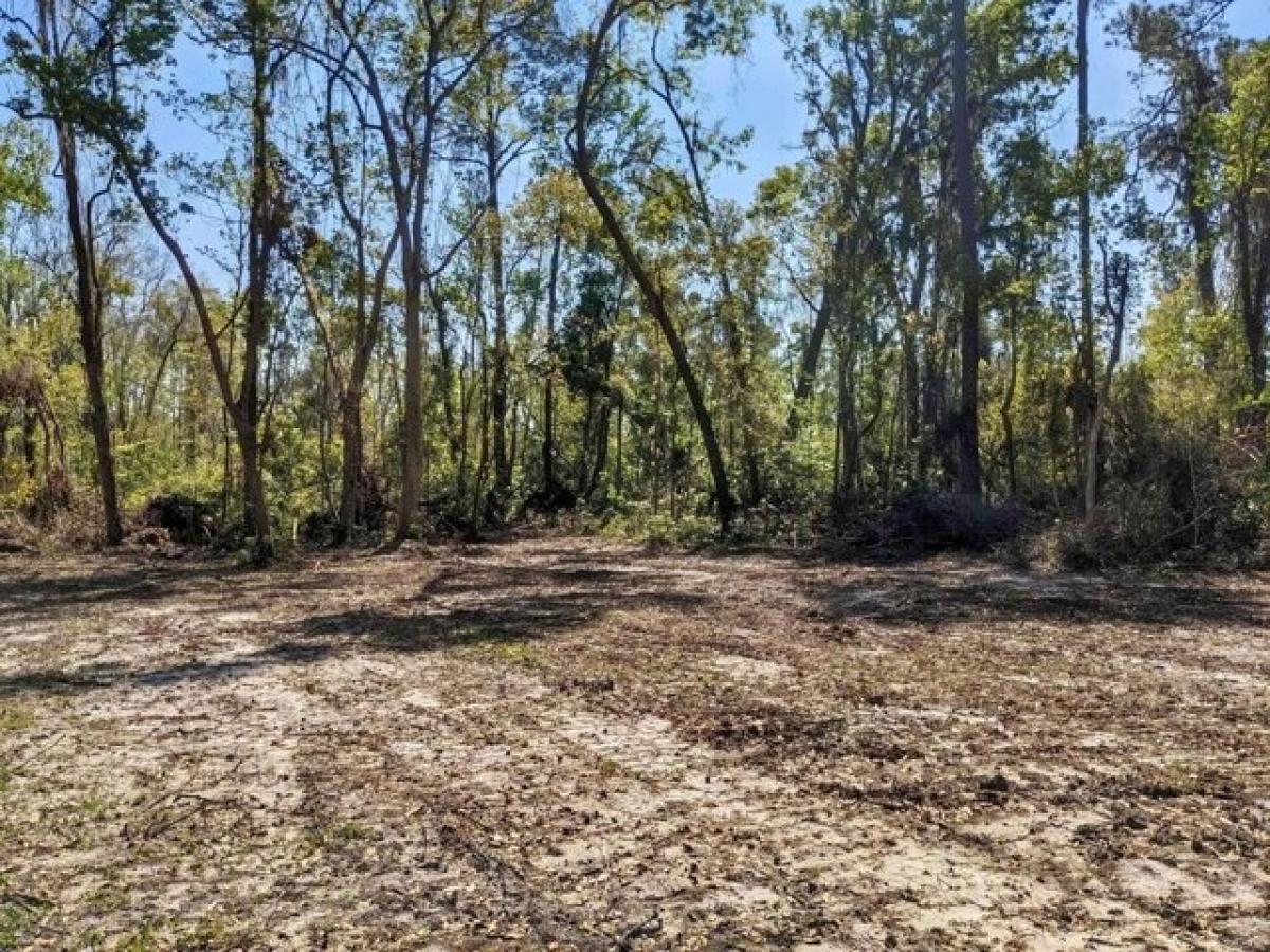 Picture of Residential Land For Sale in Madison, Florida, United States