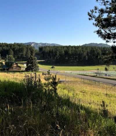 Home For Sale in Custer, South Dakota