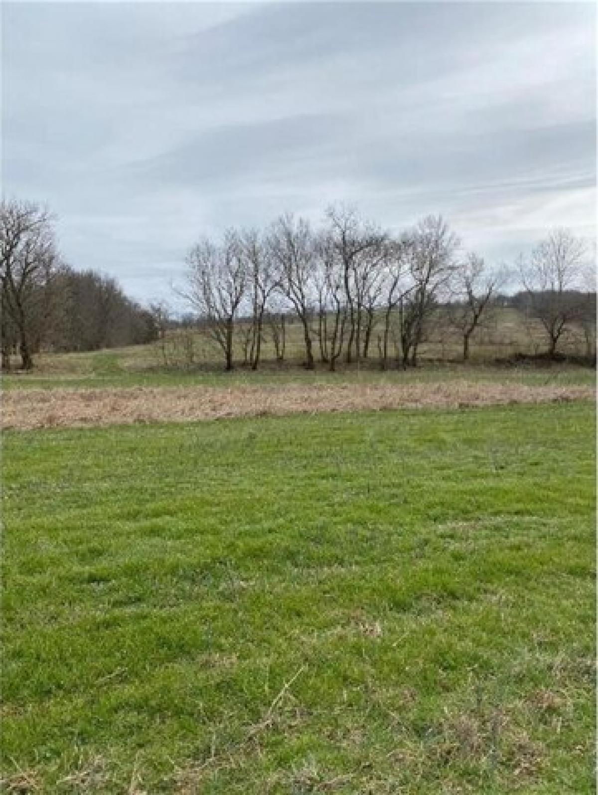 Picture of Residential Land For Sale in Huntsville, Arkansas, United States