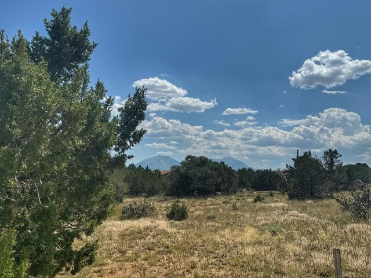 Picture of Residential Land For Sale in Walsenburg, Colorado, United States