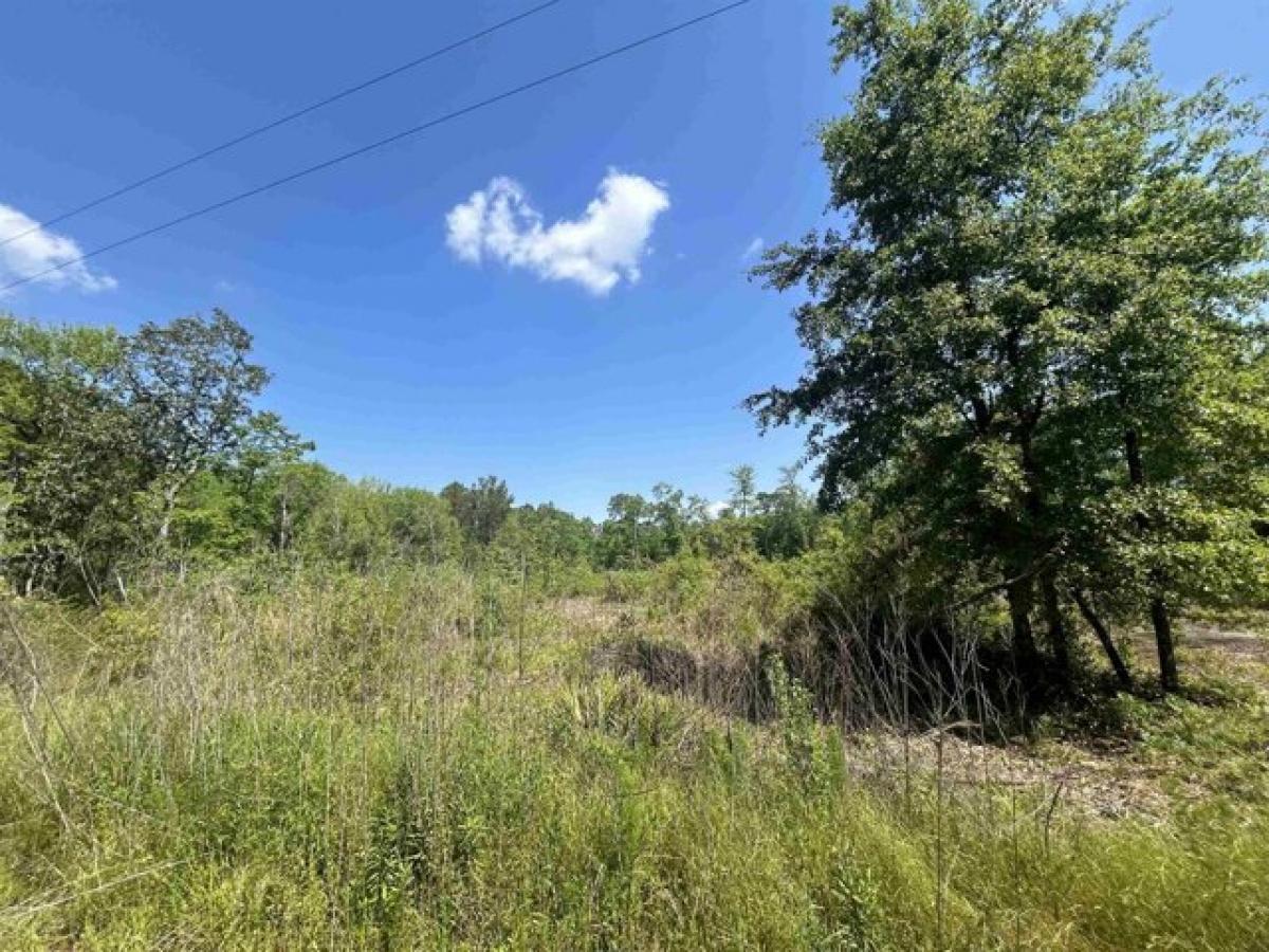 Picture of Residential Land For Sale in Havana, Florida, United States