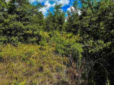 Residential Land For Sale in Lee, Florida