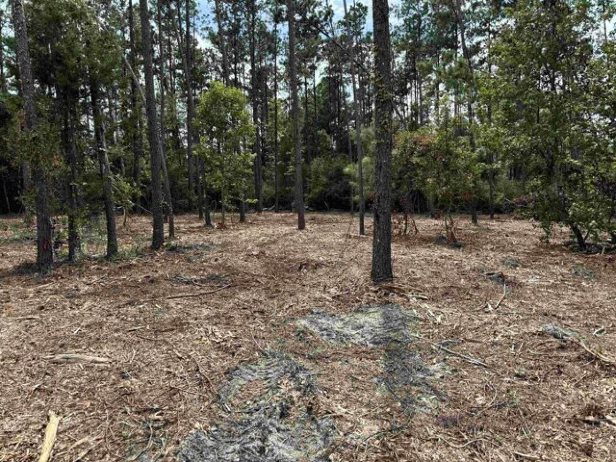 Picture of Residential Land For Sale in Marianna, Florida, United States