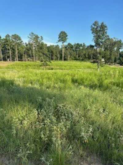 Residential Land For Sale in Centerville, Texas