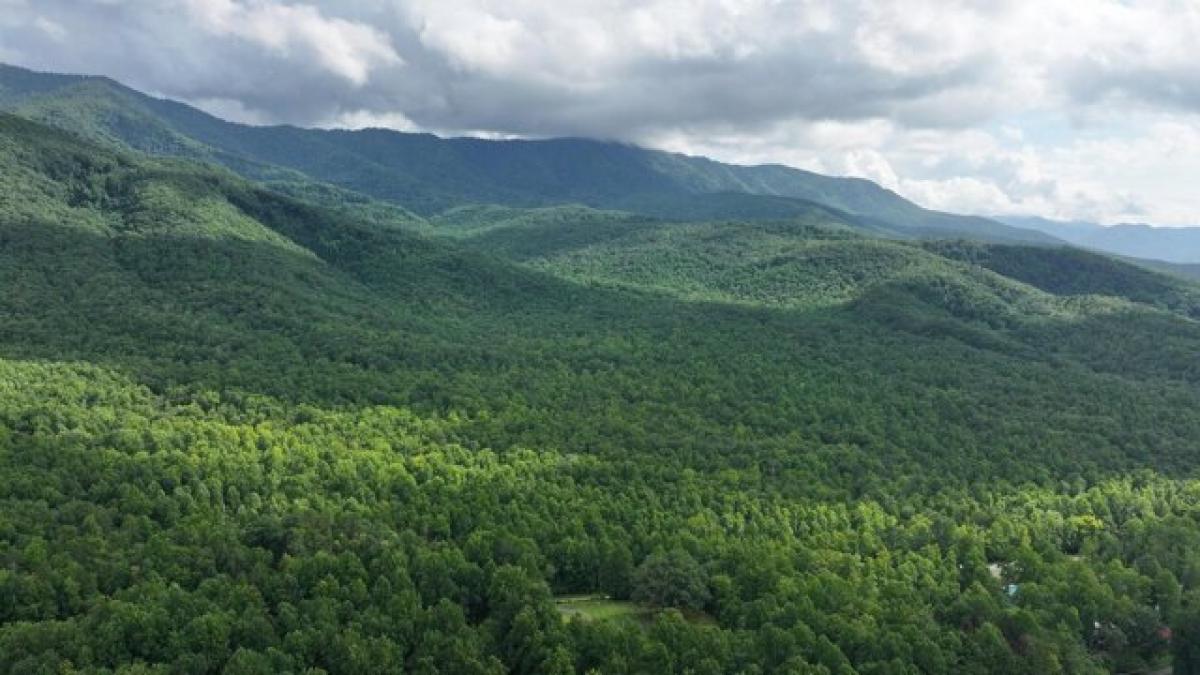 Picture of Residential Land For Sale in Gatlinburg, Tennessee, United States