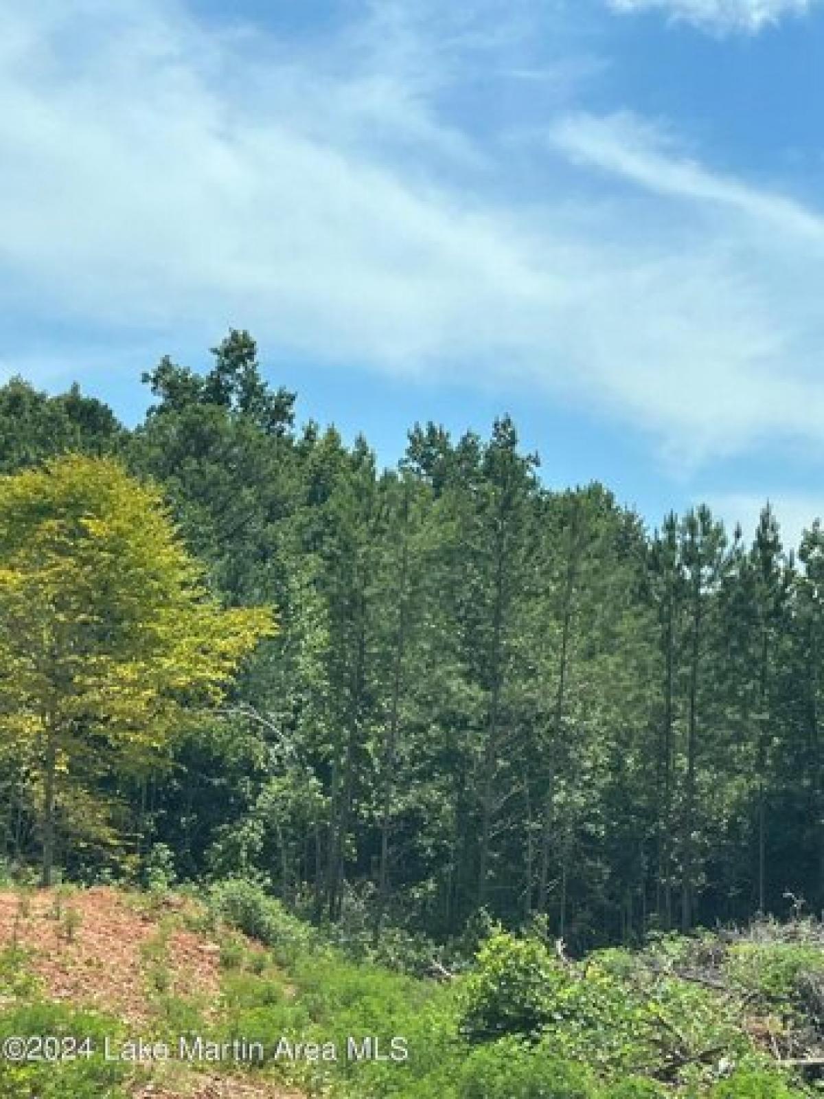 Picture of Residential Land For Sale in Jacksons Gap, Alabama, United States