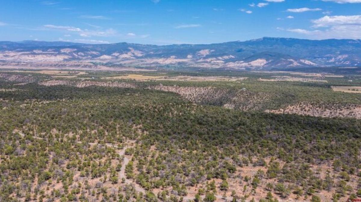 Picture of Residential Land For Sale in Montrose, Colorado, United States