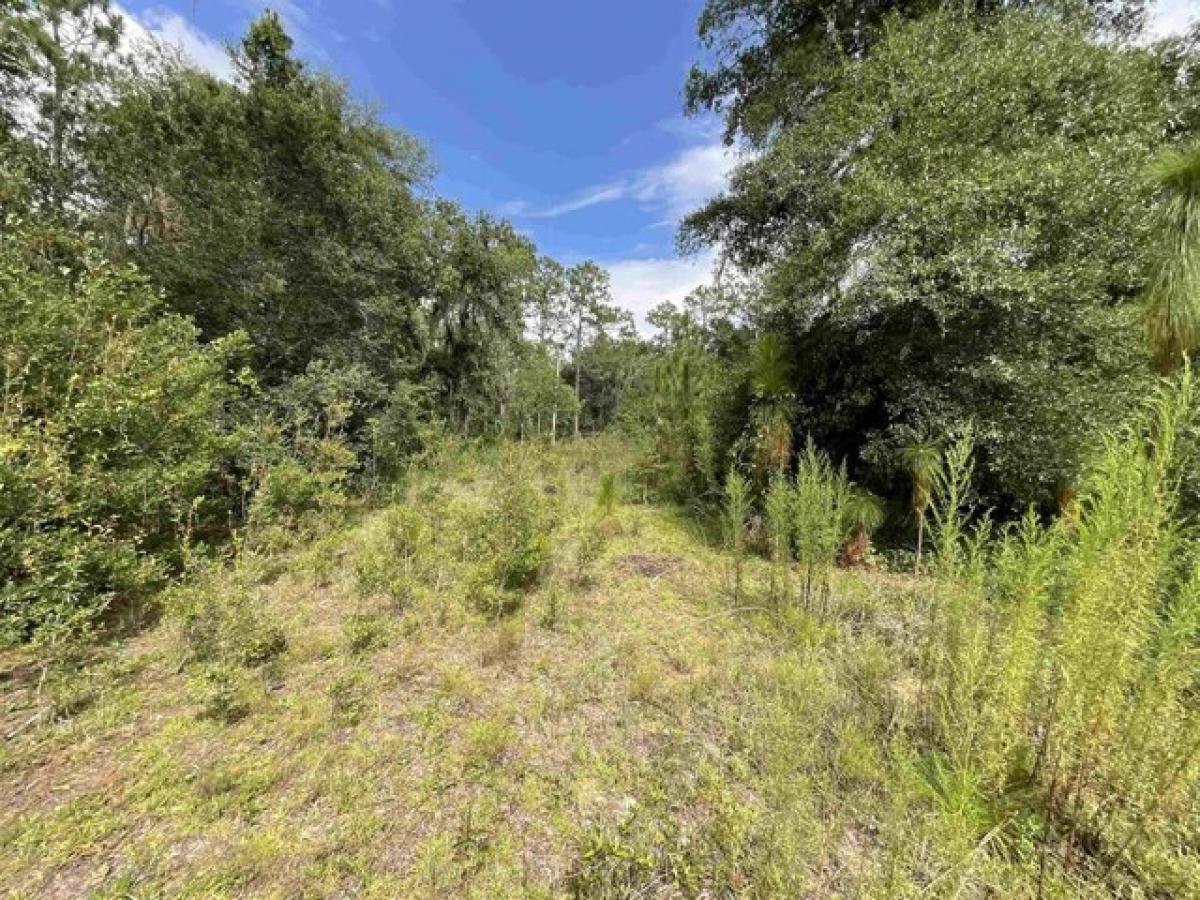 Picture of Residential Land For Sale in Lee, Florida, United States