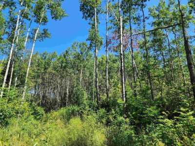 Residential Land For Sale in Hovland, Minnesota