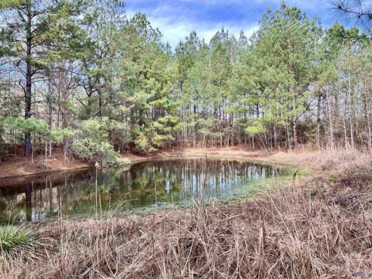 Picture of Residential Land For Sale in Liberty, Mississippi, United States