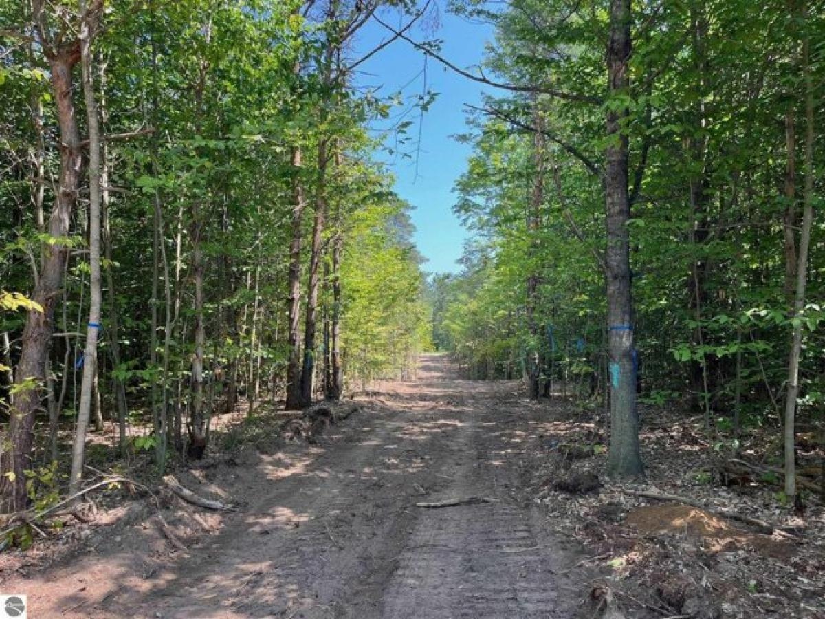 Picture of Residential Land For Sale in Maple City, Michigan, United States