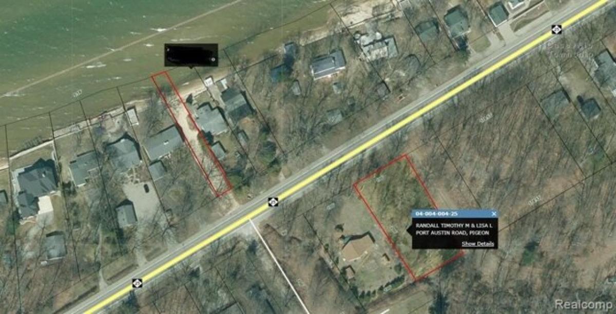 Picture of Residential Land For Sale in Caseville, Michigan, United States