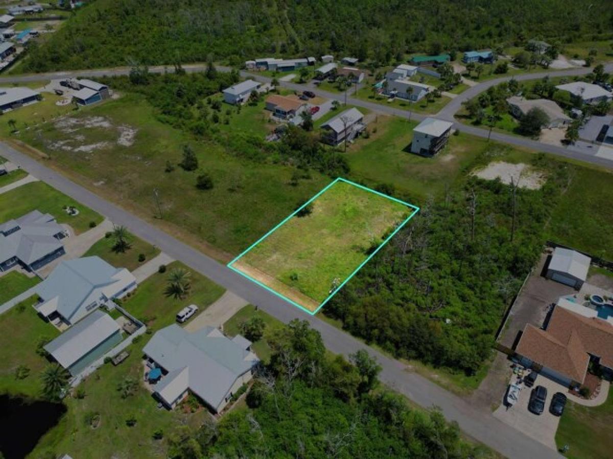 Picture of Residential Land For Sale in Mexico Beach, Florida, United States