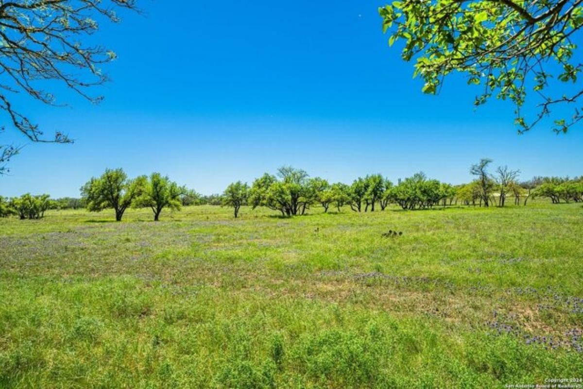 Picture of Residential Land For Sale in Harper, Texas, United States