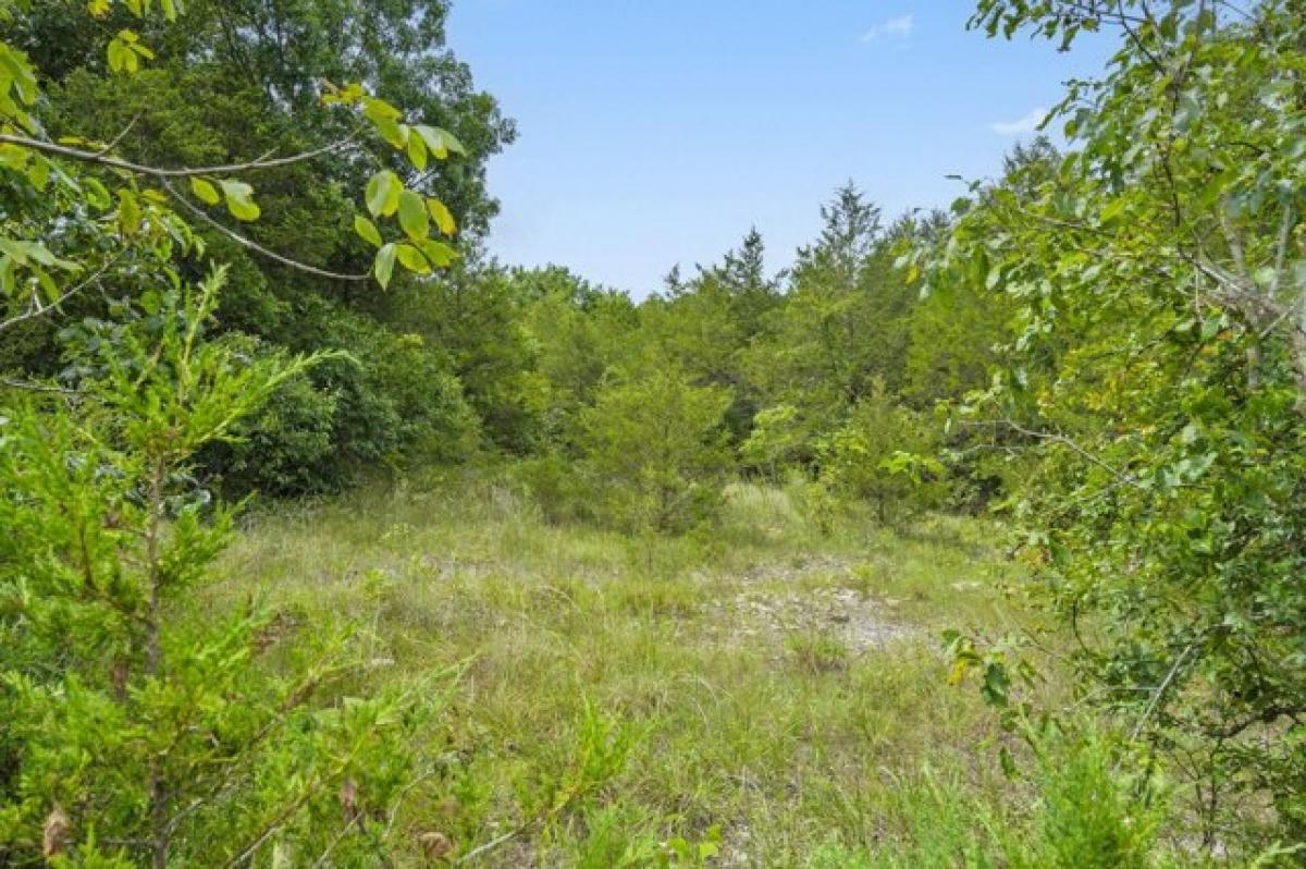 Picture of Residential Land For Sale in Shell Knob, Missouri, United States