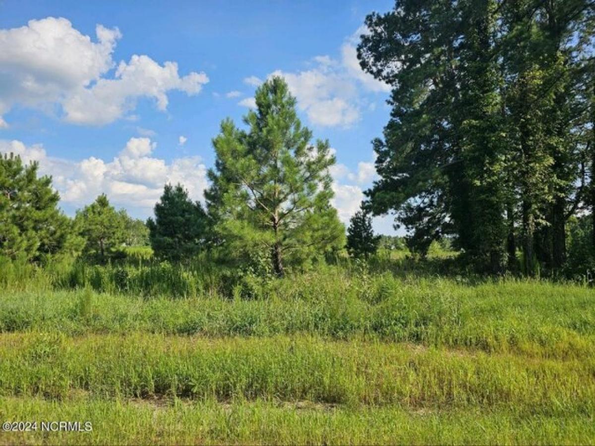 Picture of Residential Land For Sale in Vanceboro, North Carolina, United States