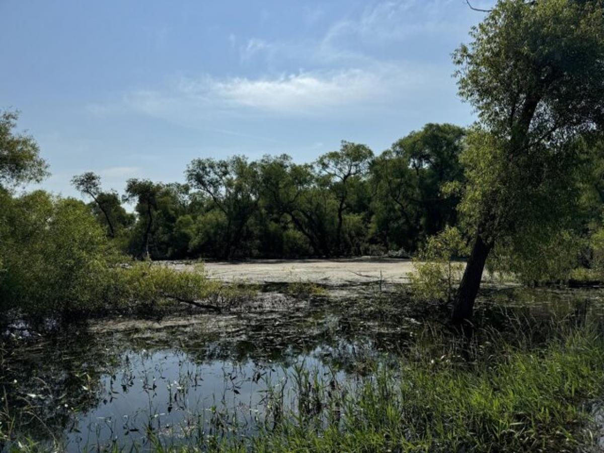 Picture of Residential Land For Sale in Decatur, Michigan, United States