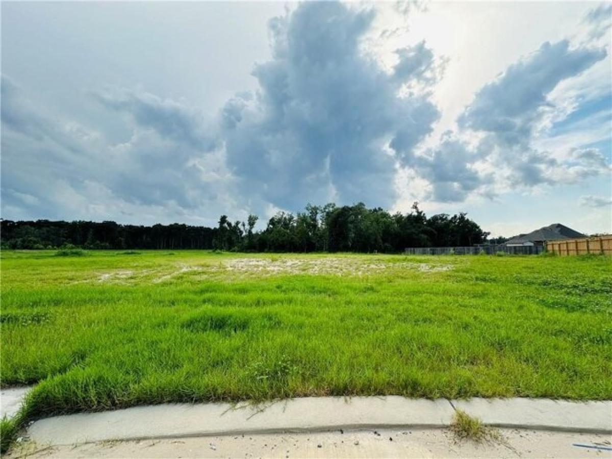 Picture of Residential Land For Sale in Luling, Louisiana, United States