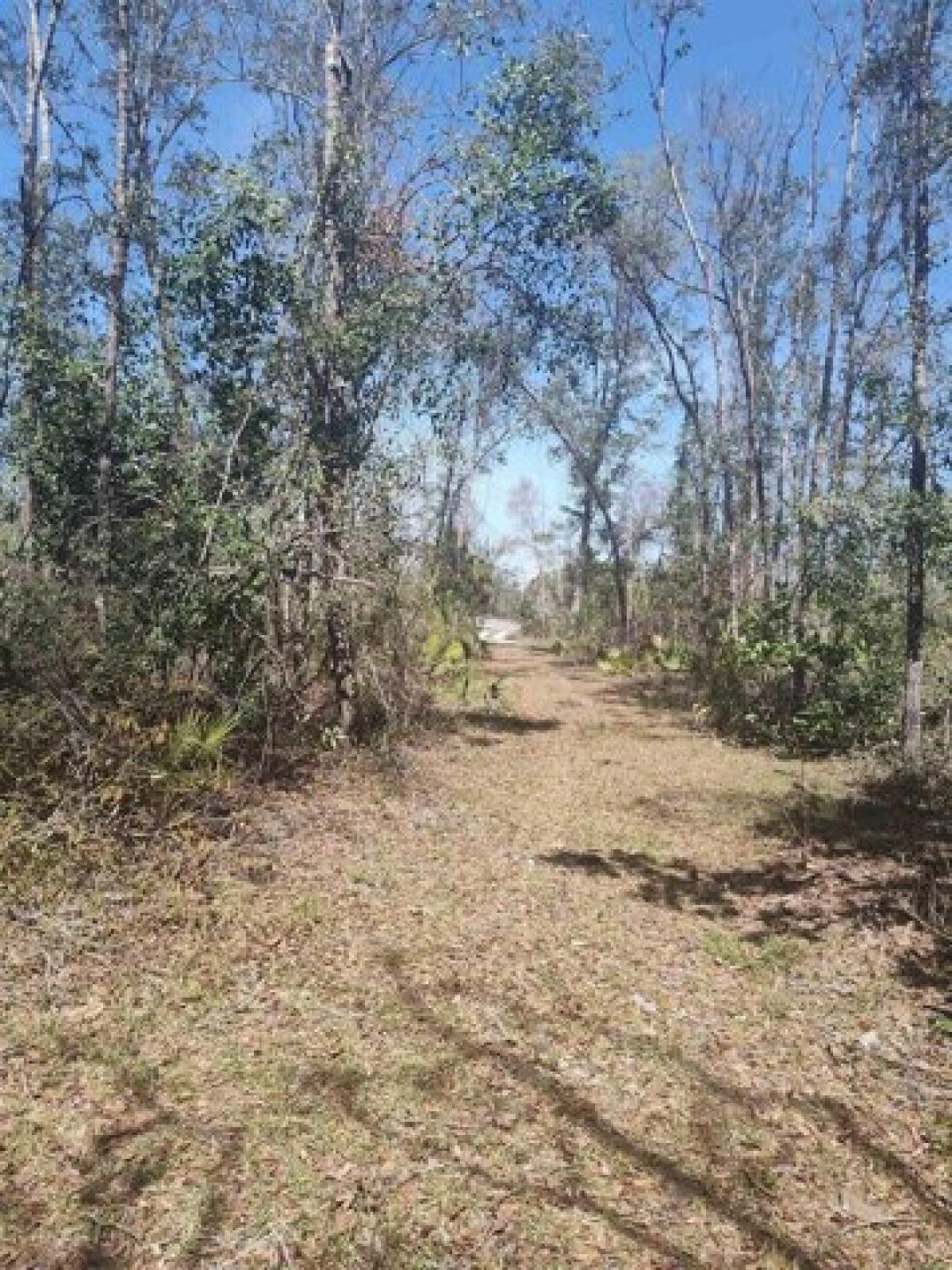 Picture of Residential Land For Sale in Perry, Florida, United States