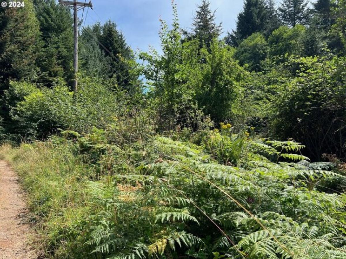 Picture of Residential Land For Sale in Brookings, Oregon, United States