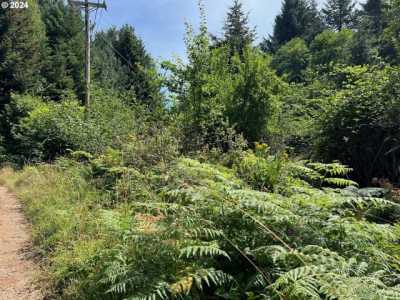 Residential Land For Sale in Brookings, Oregon