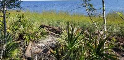 Residential Land For Sale in Lanark Village, Florida