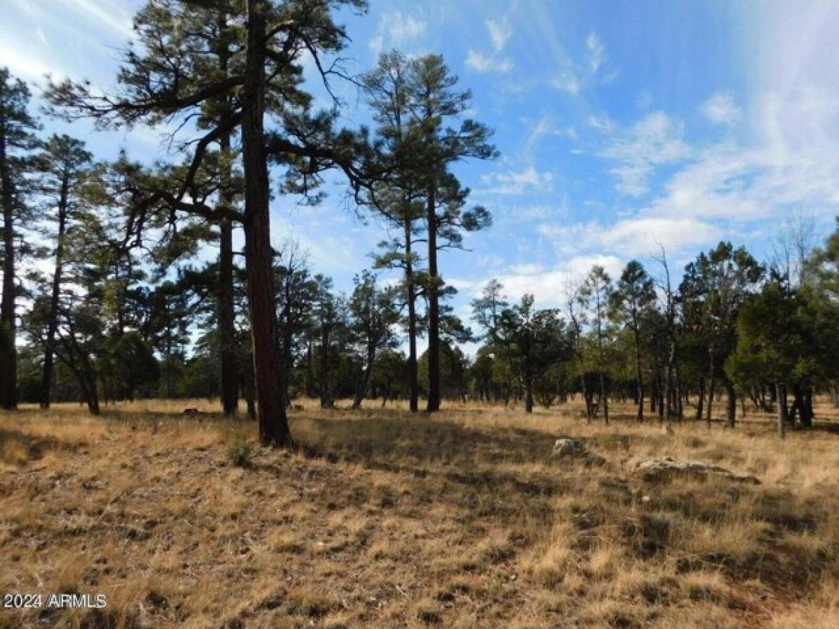 Picture of Residential Land For Sale in Happy Jack, Arizona, United States