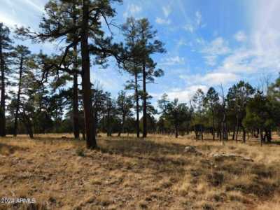 Residential Land For Sale in Happy Jack, Arizona