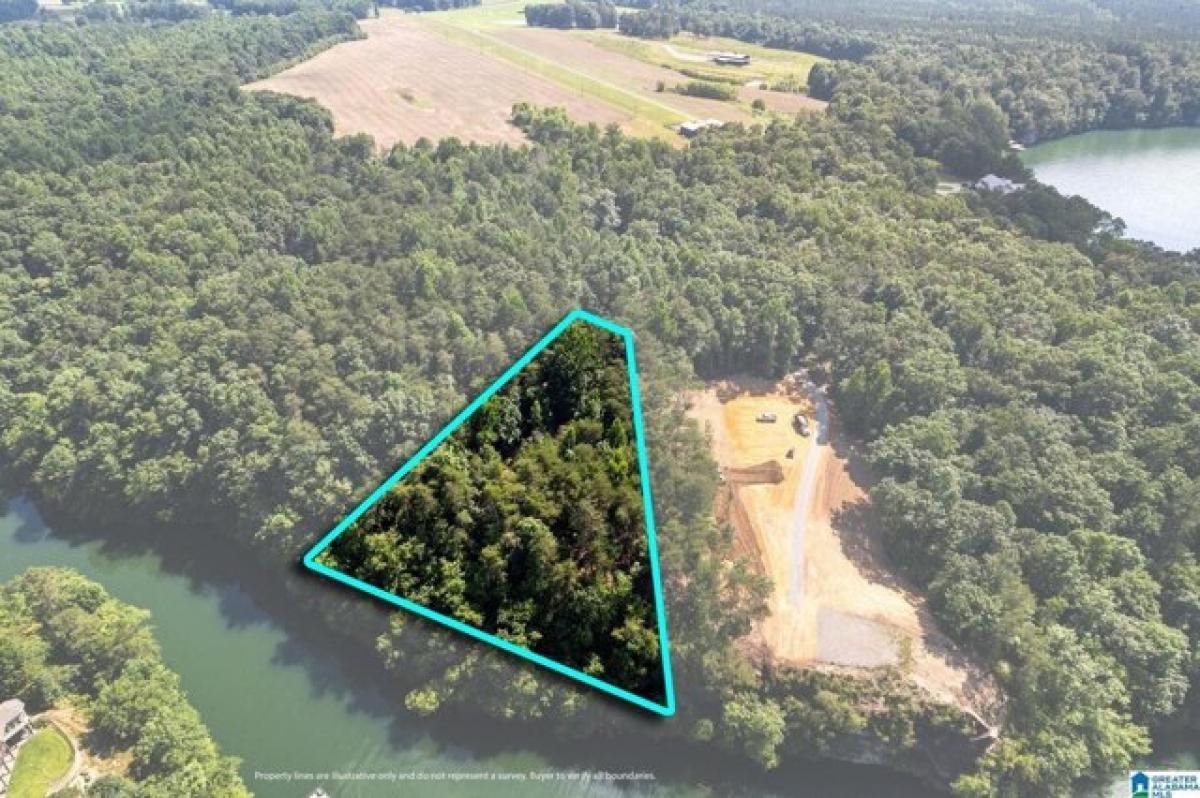 Picture of Residential Land For Sale in Bremen, Alabama, United States