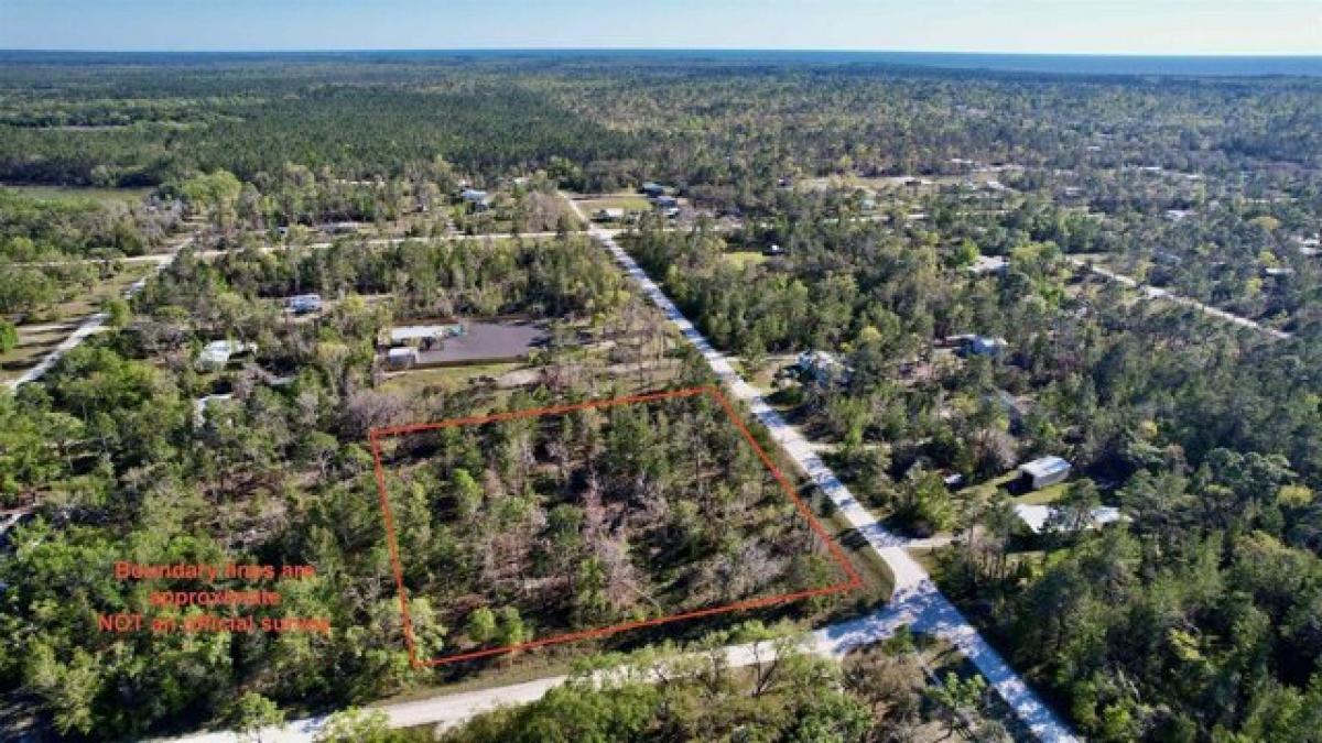 Picture of Residential Land For Sale in Perry, Florida, United States