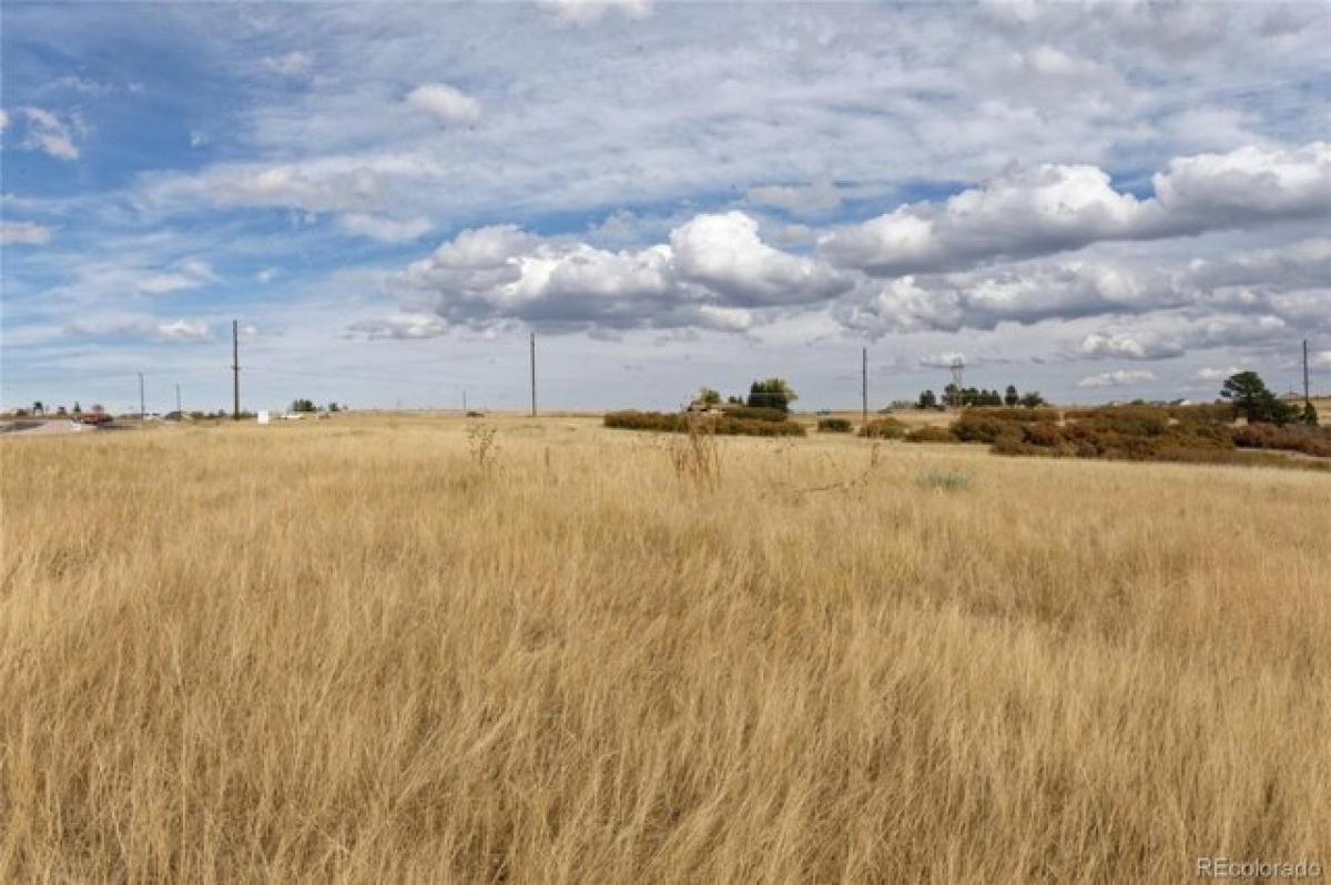 Picture of Residential Land For Sale in Castle Rock, Colorado, United States