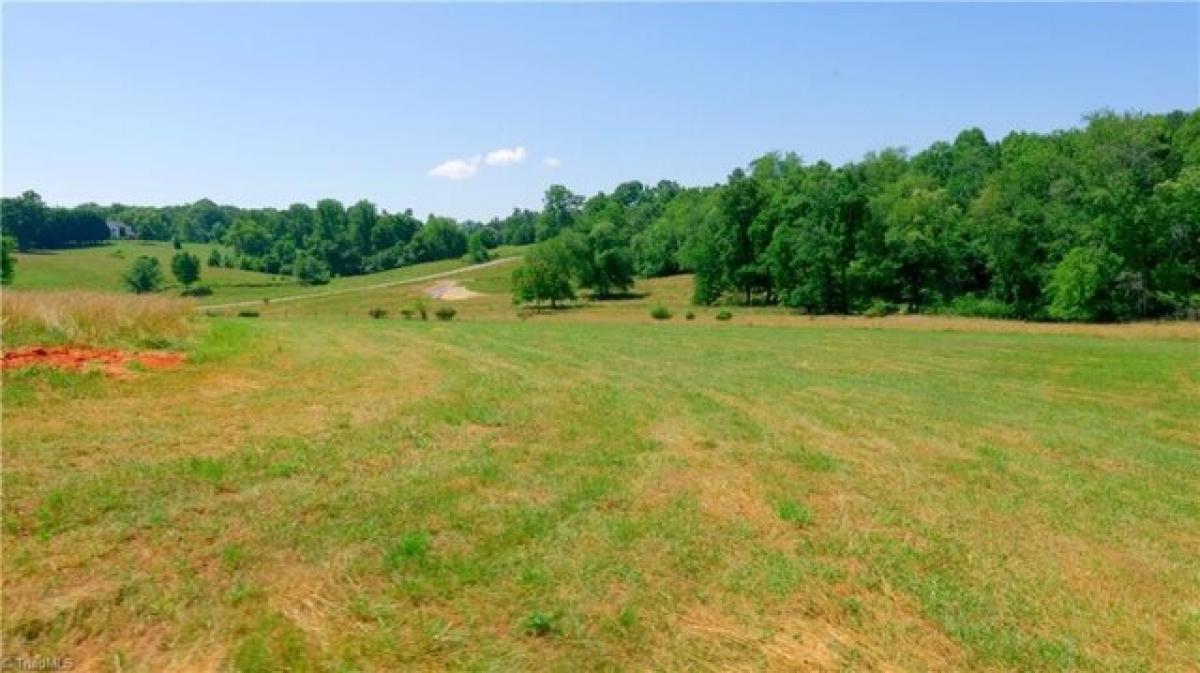 Picture of Residential Land For Sale in Pilot Mountain, North Carolina, United States