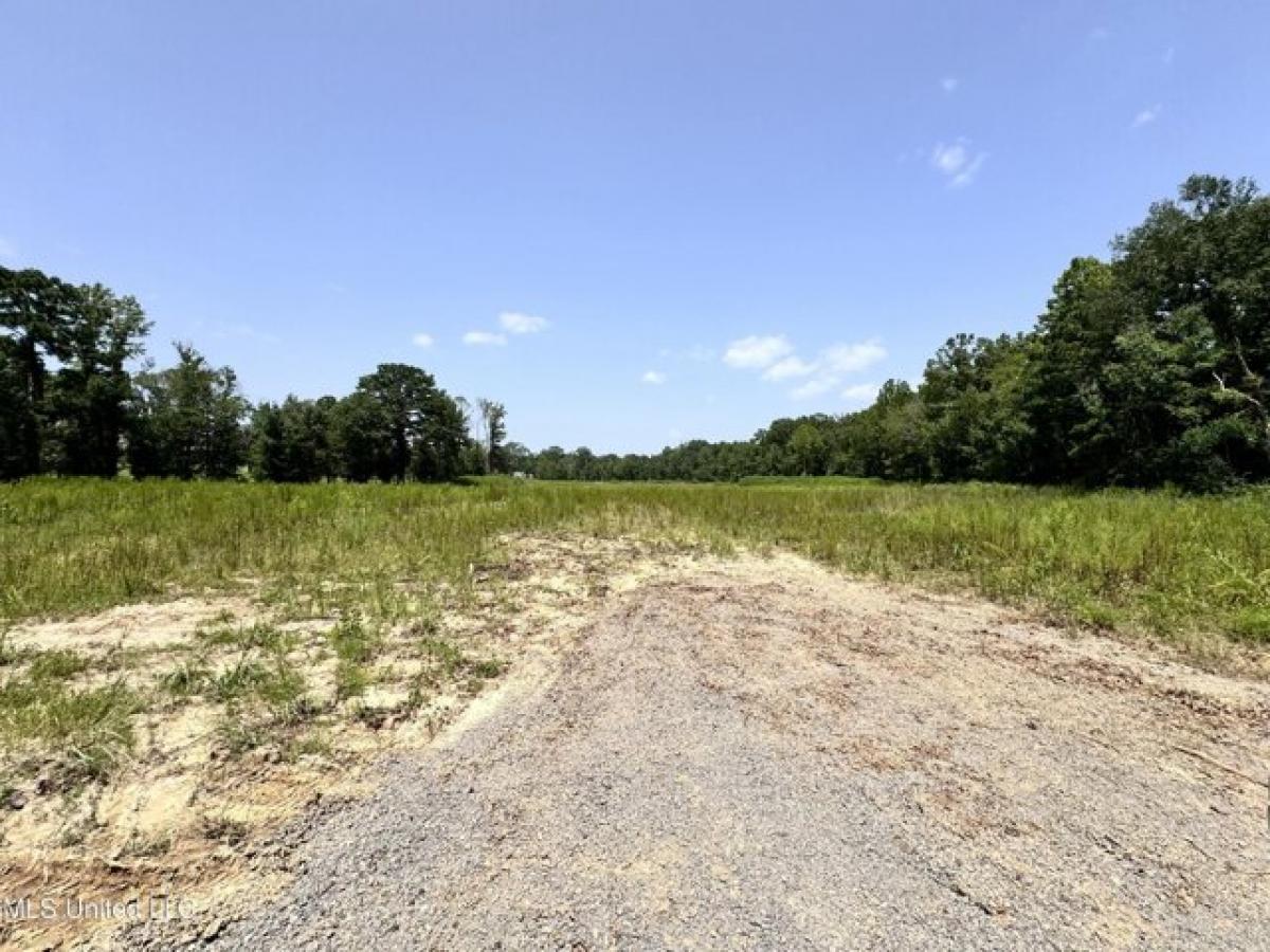 Picture of Residential Land For Sale in Brandon, Mississippi, United States