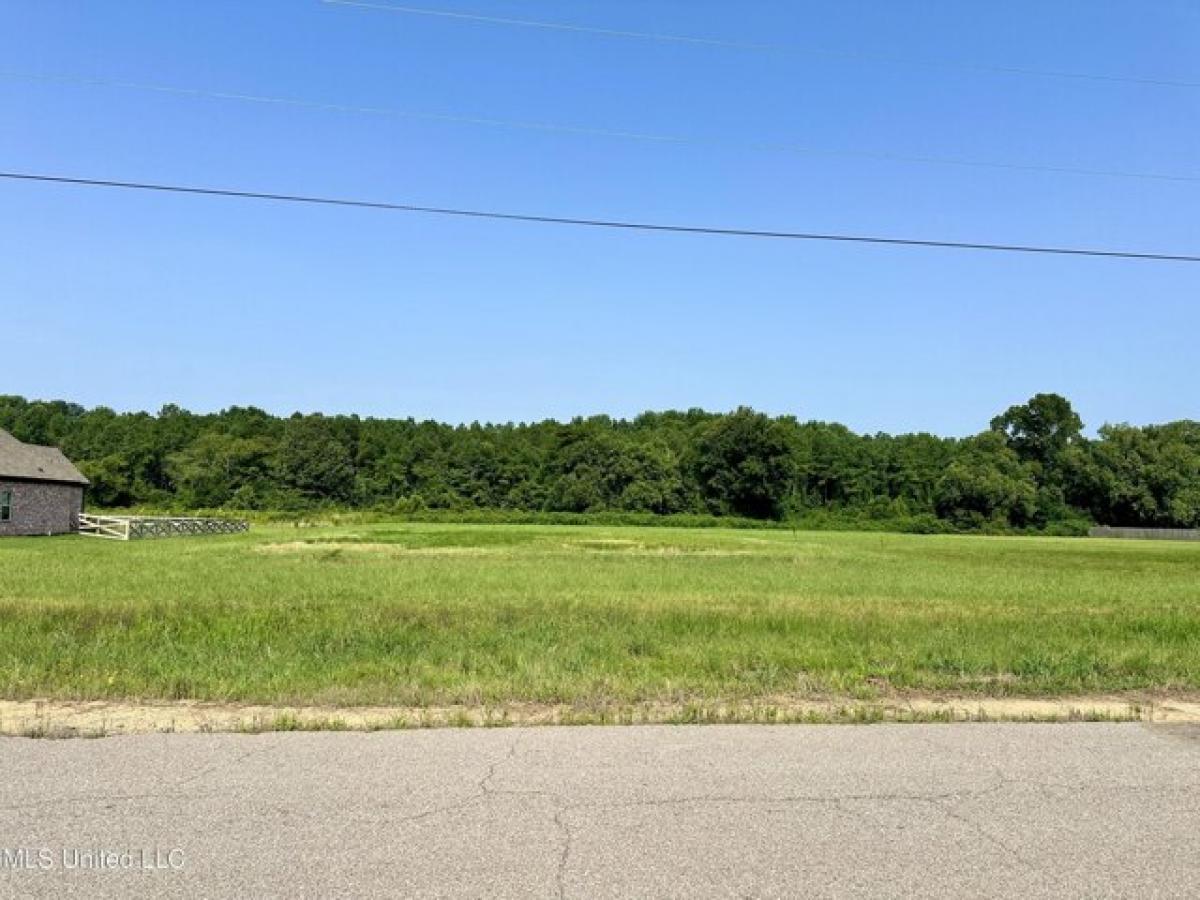 Picture of Residential Land For Sale in Hernando, Mississippi, United States