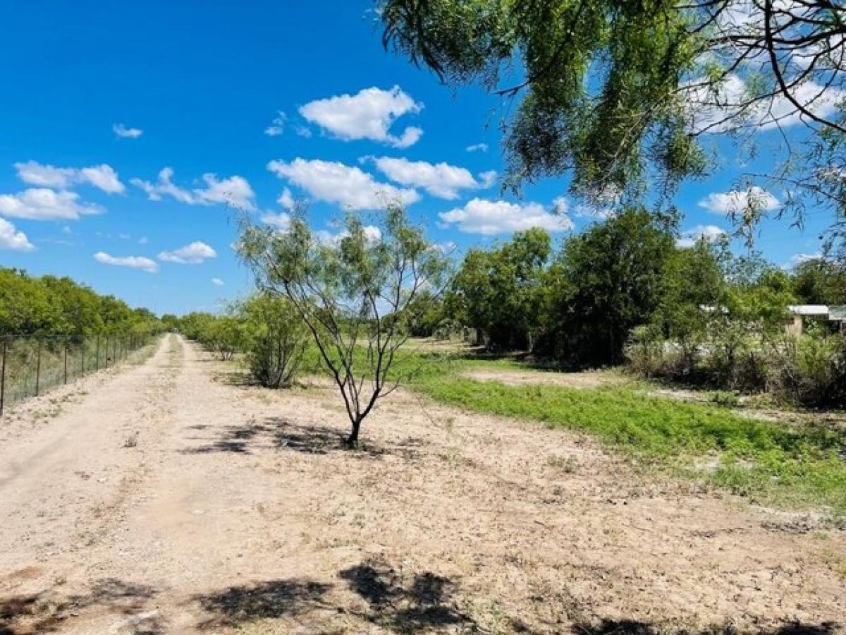 Picture of Residential Land For Sale in Quemado, Texas, United States