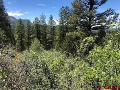 Residential Land For Sale in Pagosa Springs, Colorado