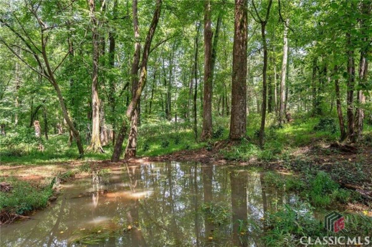 Picture of Home For Sale in Watkinsville, Georgia, United States