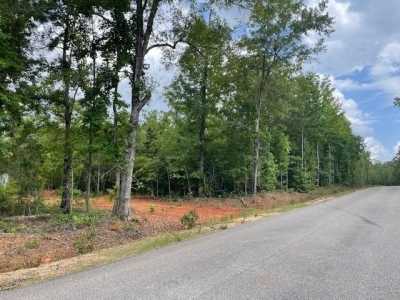 Residential Land For Sale in Salem, Alabama