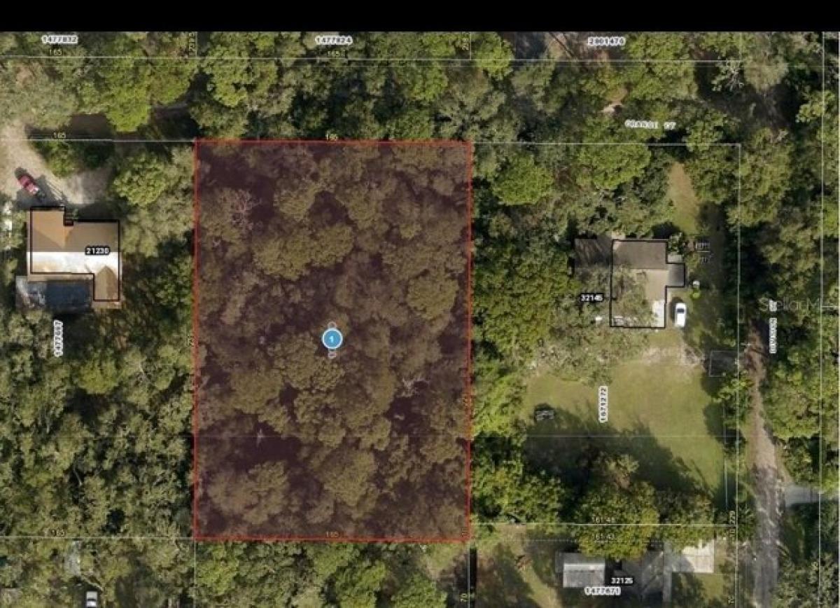 Picture of Residential Land For Sale in Mount Dora, Florida, United States